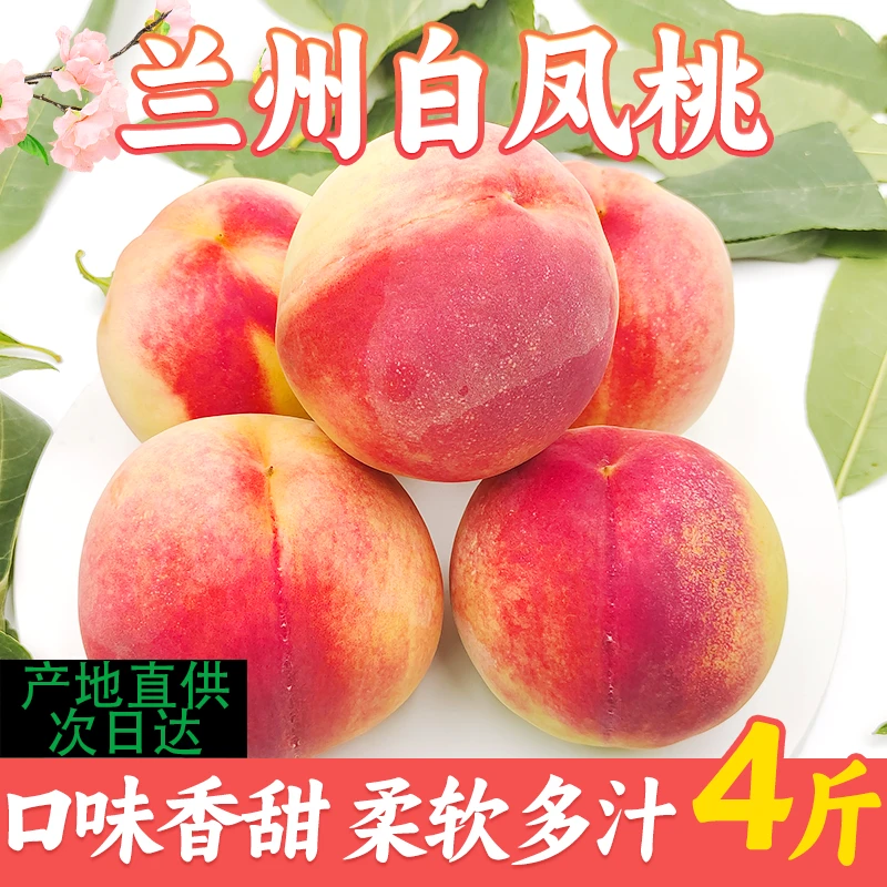 【次日达】正宗兰州白凤桃白粉桃水蜜桃时令新鲜水果当季整箱甘肃现摘桃子桃子甘肃省