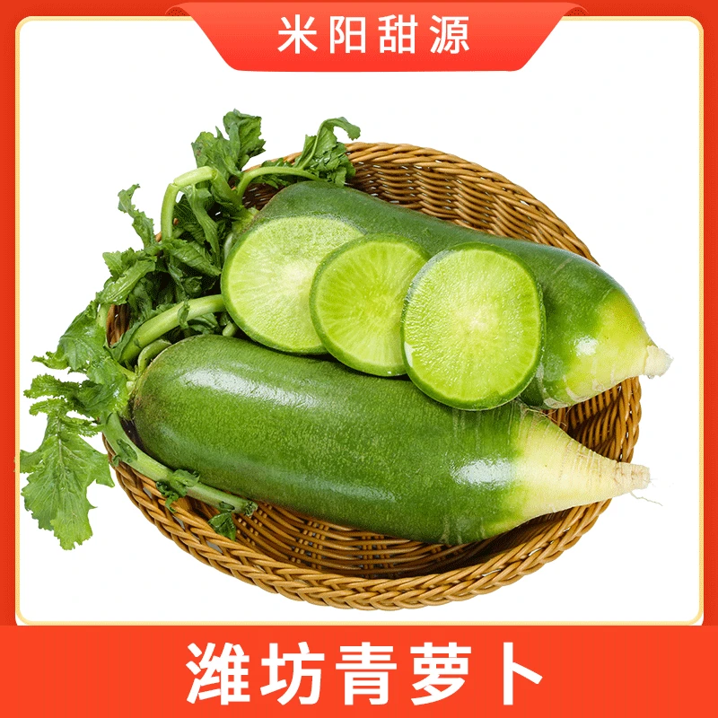 【米阳甜源】潍坊青萝卜 5斤约3-7个