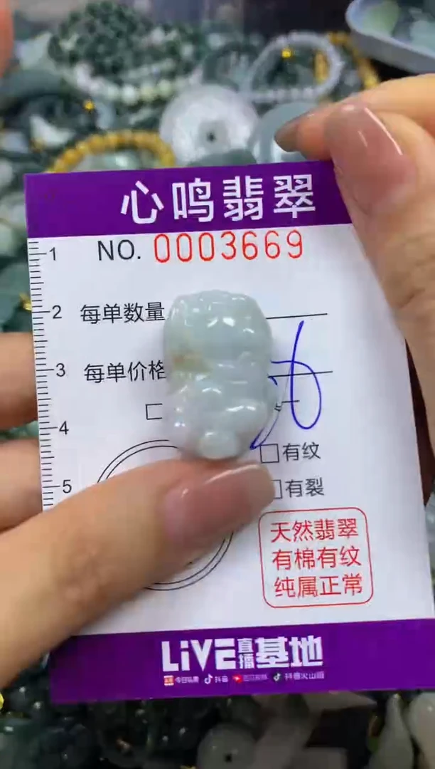 翡翠未镶嵌颈饰闪购003669