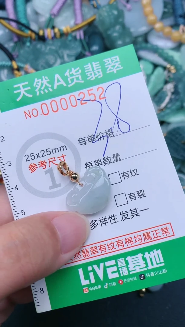翡翠未镶嵌颈饰.0000252
