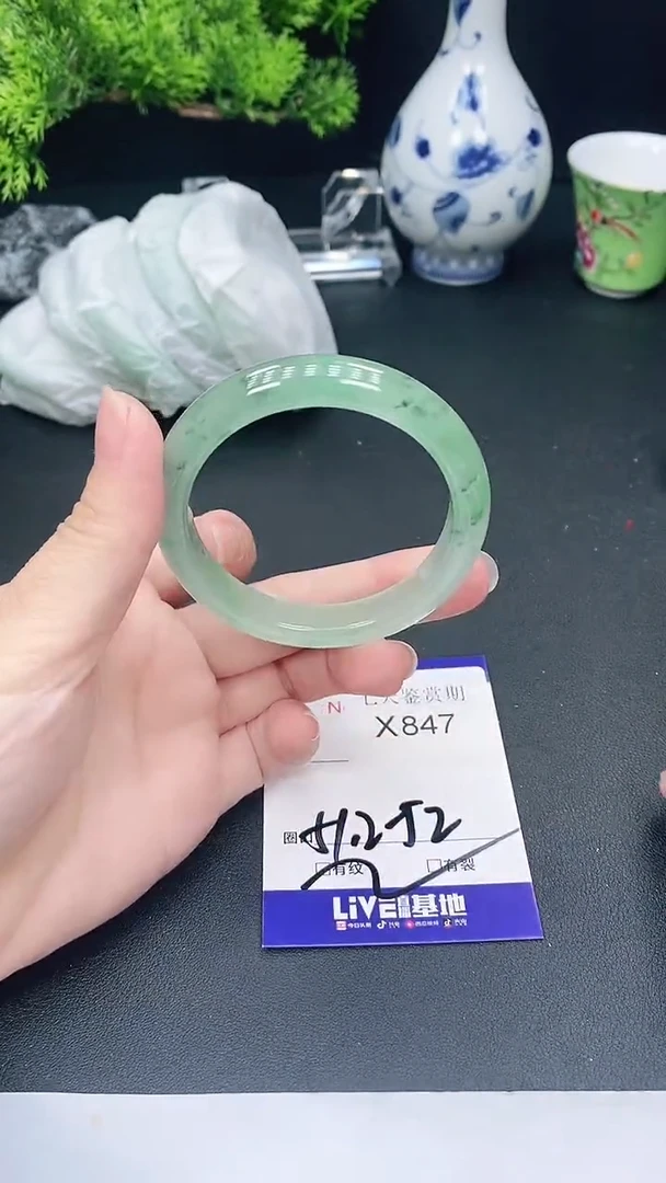 未镶嵌手镯翡翠847