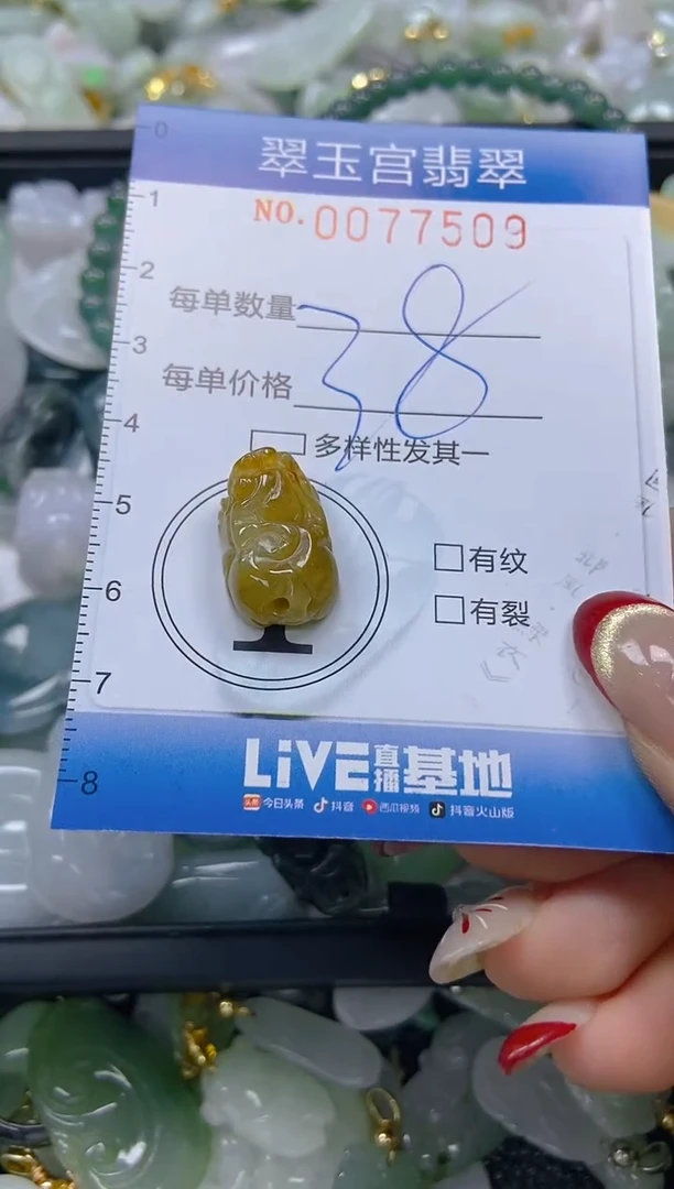 【闪购商品】翡翠颈饰未镶嵌闪购0077509