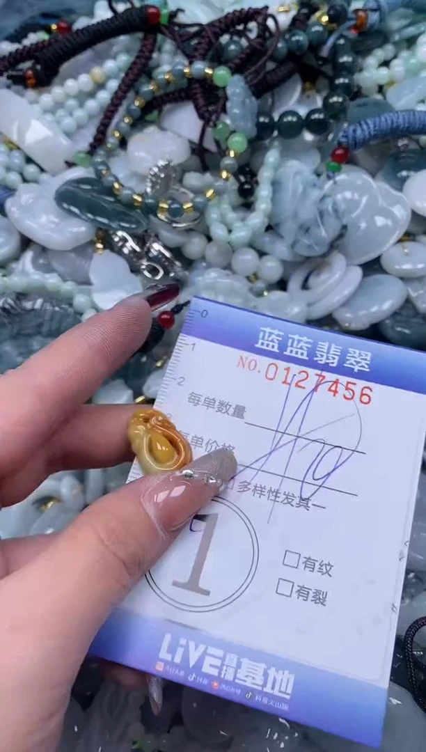 【闪购商品】翡翠颈饰未镶嵌闪购0127456多样性发其一