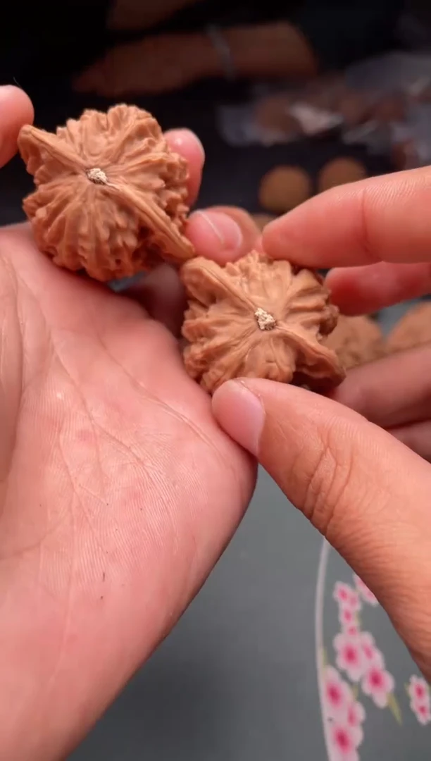 核桃a325  盘龙纹 42尺