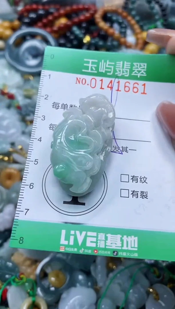 翡翠未镶嵌颈饰闪购0141661