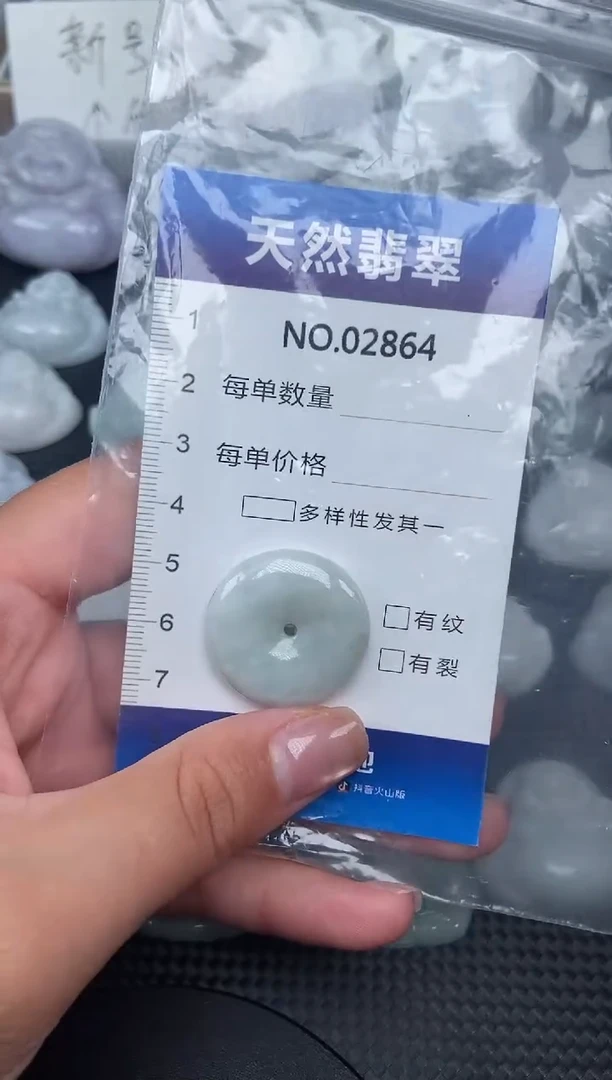 颈饰未镶嵌翡翠纯天然A货翡翠2864