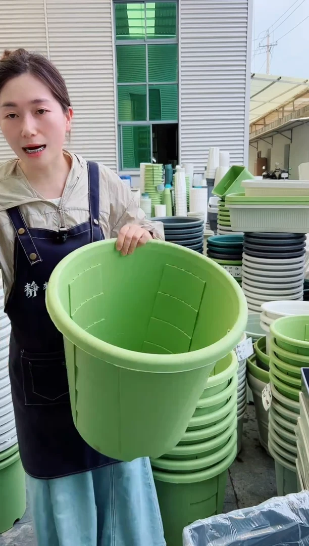 瑕疵玫瑰盆420#果绿3个无托