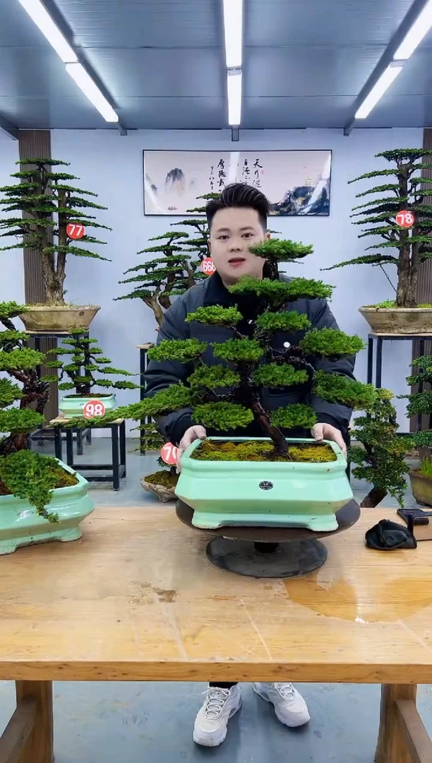 以实际为准?****?00000000