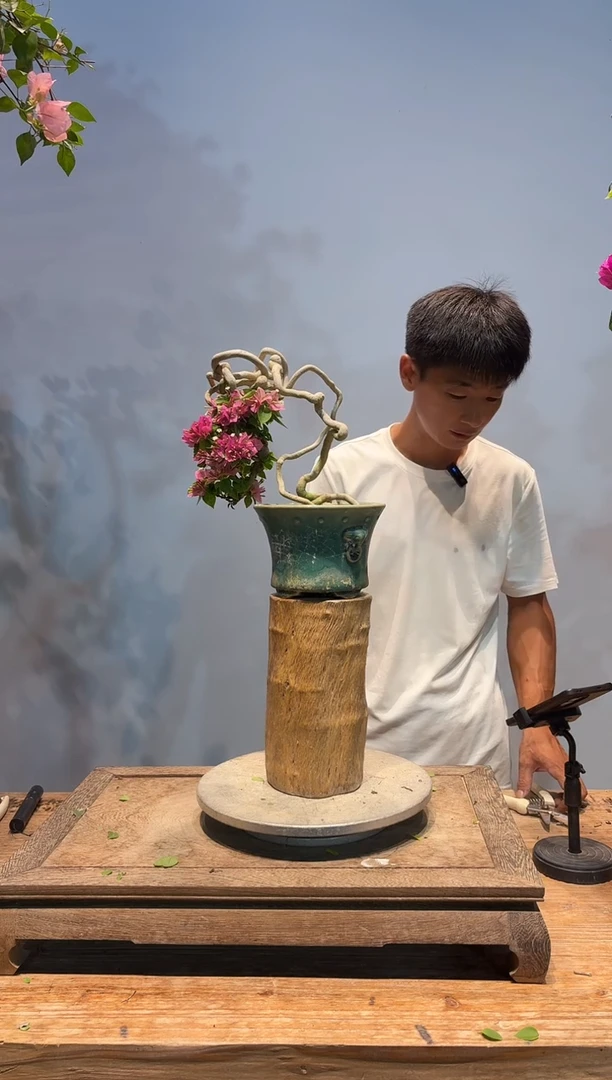 全部花朵万**爱三角梅50