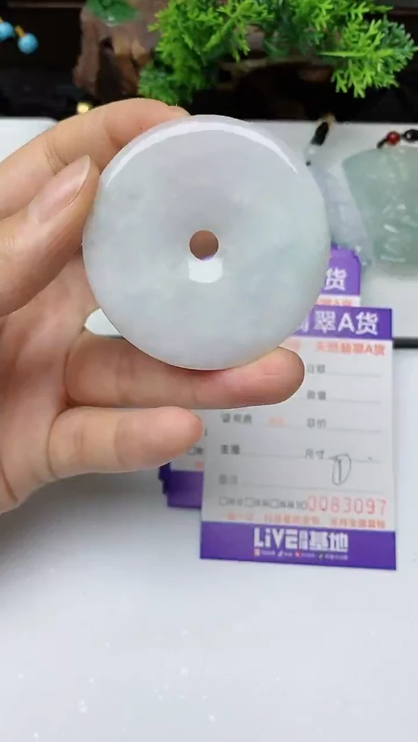 【闪购商品】翡翠颈饰未镶嵌