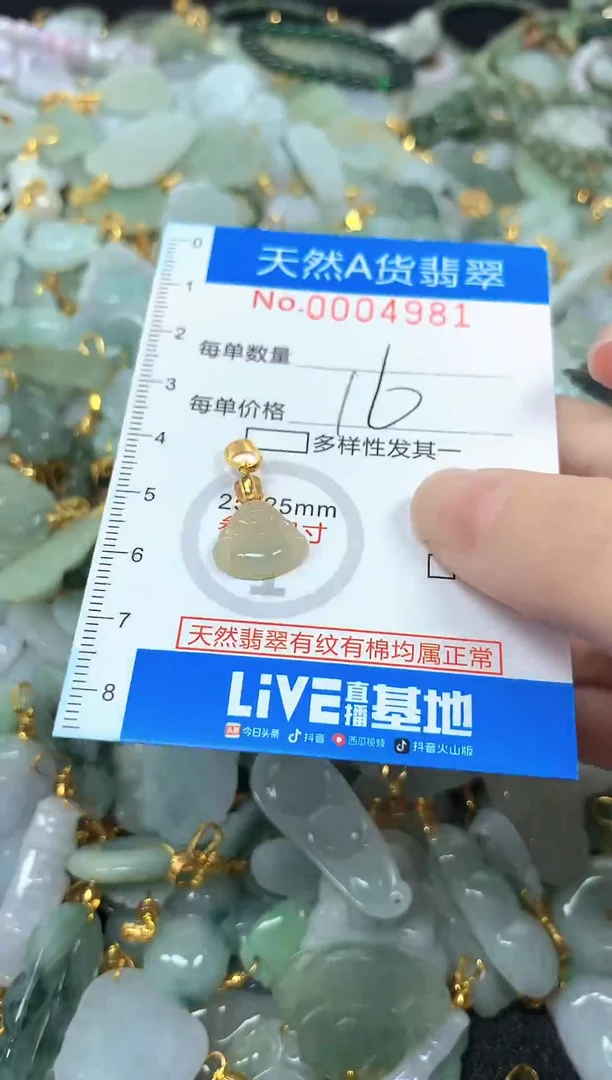 颈饰未镶嵌翡翠净货挂件-4981