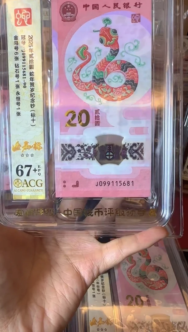 塑料2025 蛇钞  爱藏 标十  啊啊啊啊