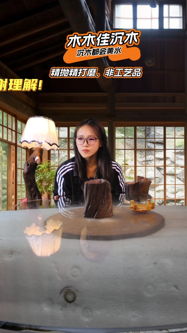 ?木木佳沉木鱼缸造景