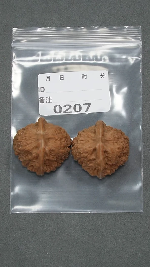 【闪购商品】文玩核桃把件39凹底