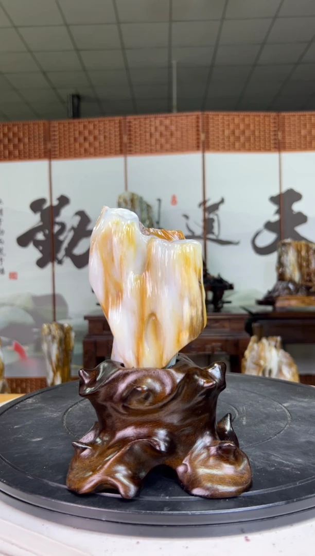 未镶嵌珠宝奇石硅化玉2
