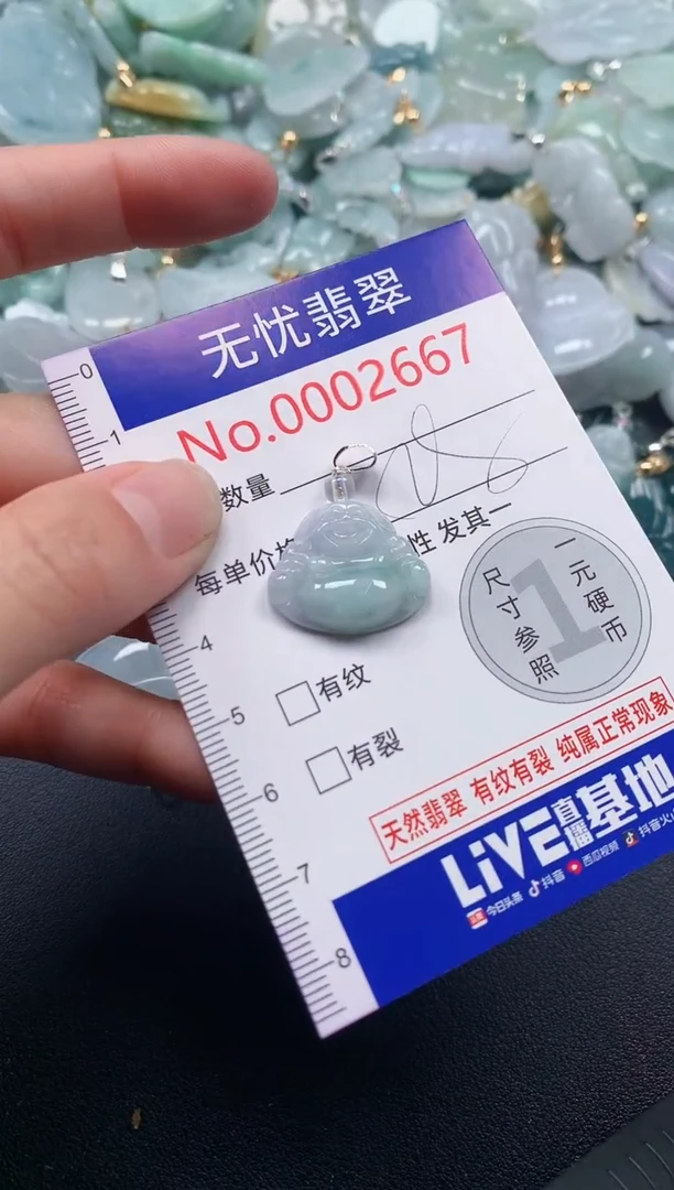 吊坠(不含链)未镶嵌翡翠2667