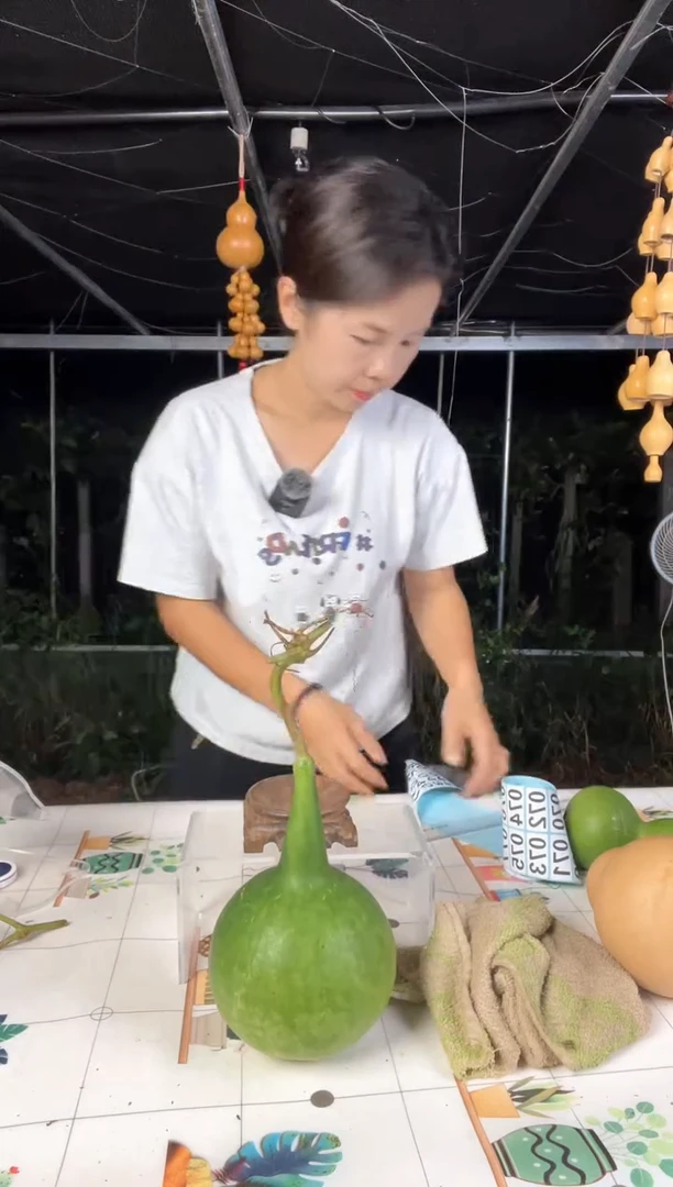 035天然葫芦摆件 一物一拍龙头不保售后