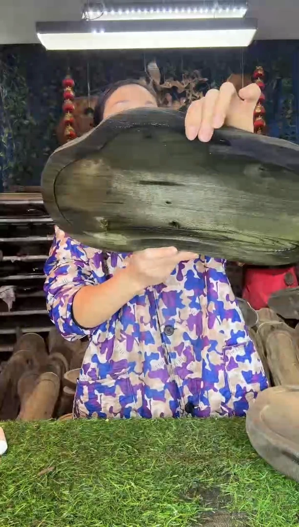 金丝楠小叶桢楠43