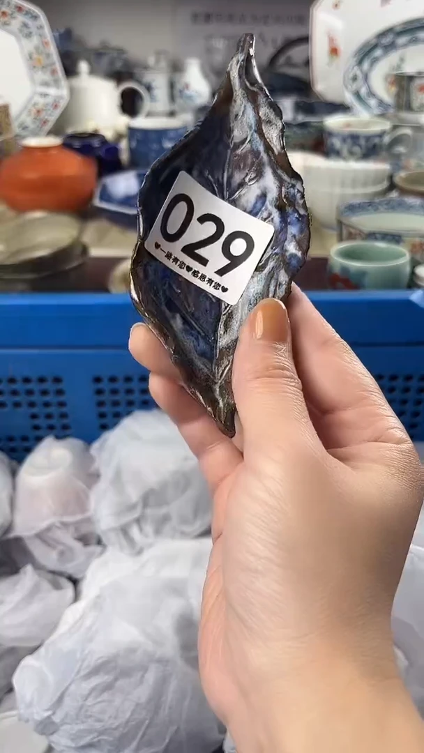 C**️029..................