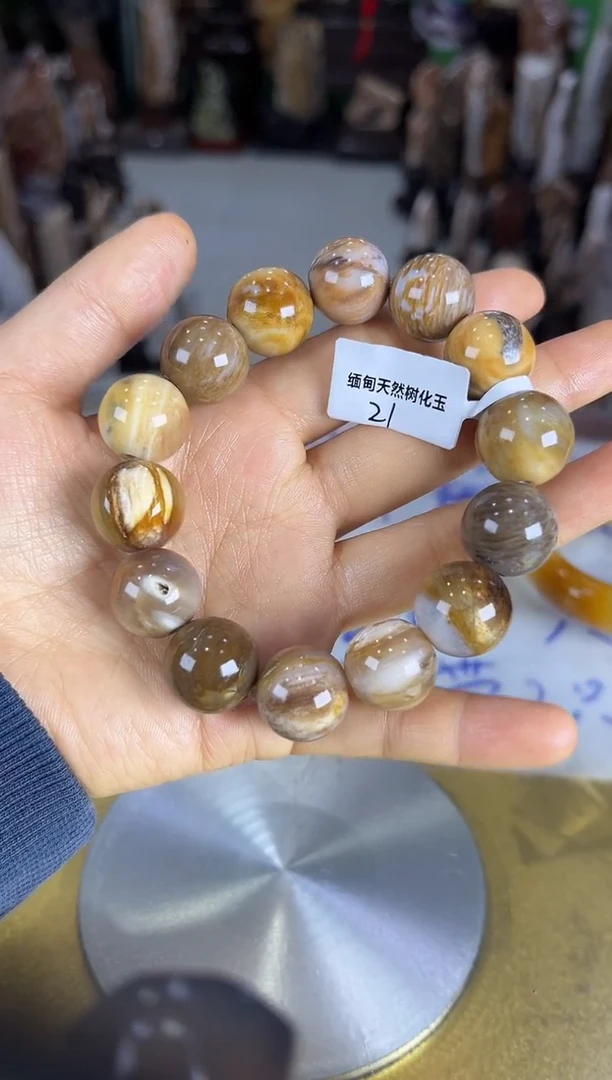 未镶嵌珠宝奇石硅化玉缅甸天然树化玉精品摆件