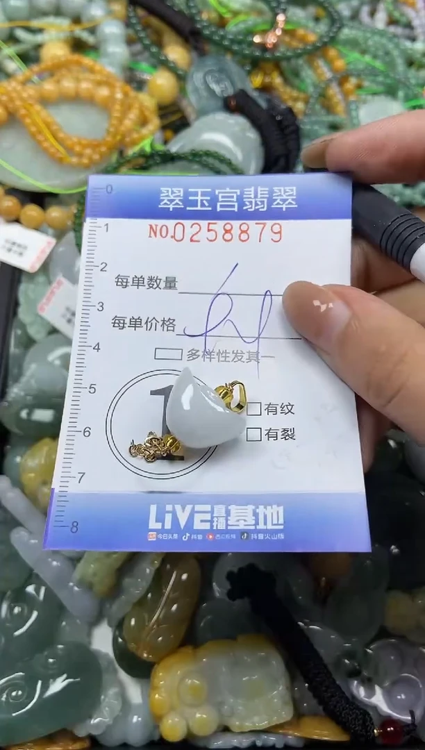 颈饰未镶嵌翡翠闪购C0258879