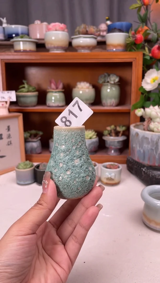 817知木小芳花盆