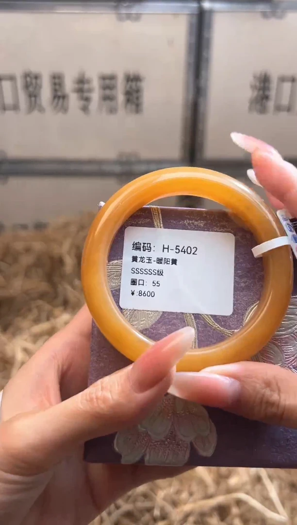 未镶嵌手镯石英质玉H5402