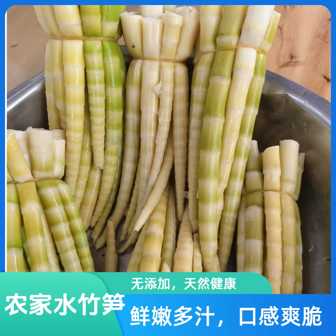 恩施高山农家水竹笋 恩施山妹代购农产品 绿色健康