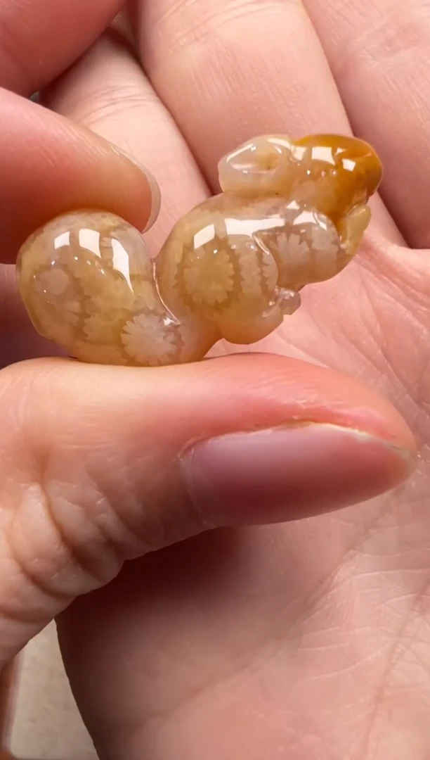 【闪购商品】硅化珊瑚（珊瑚玉）颈饰未镶嵌605