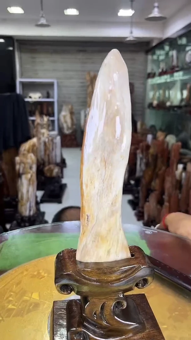 硅化玉珠宝奇石未镶嵌缅甸天然树化玉摆件