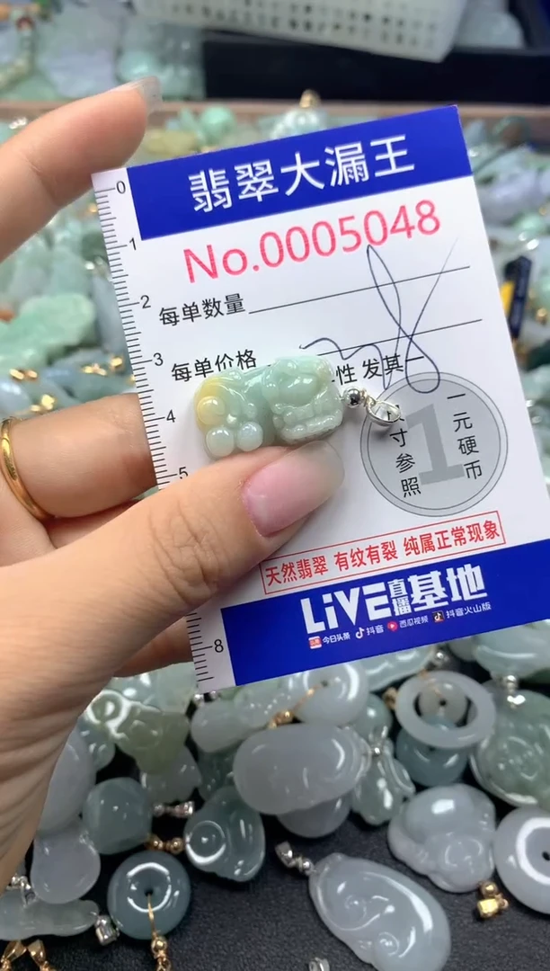 颈饰未镶嵌翡翠5048