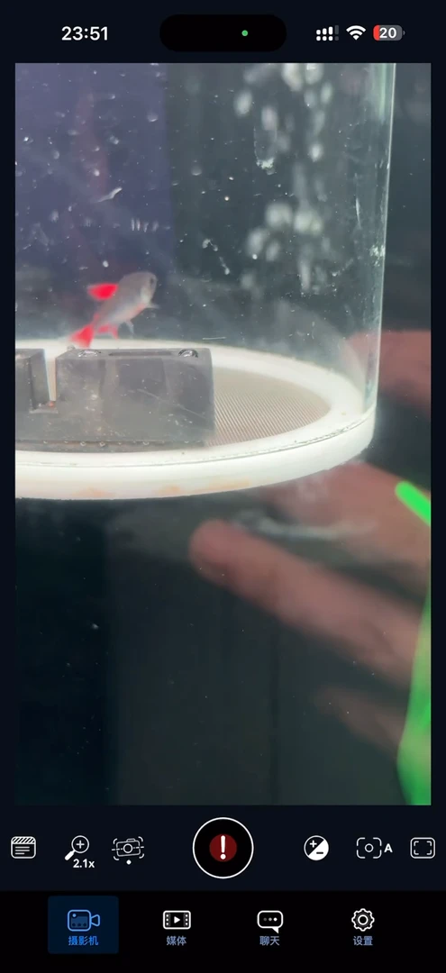 灯科鱼【橡胶垫子】灰太狼