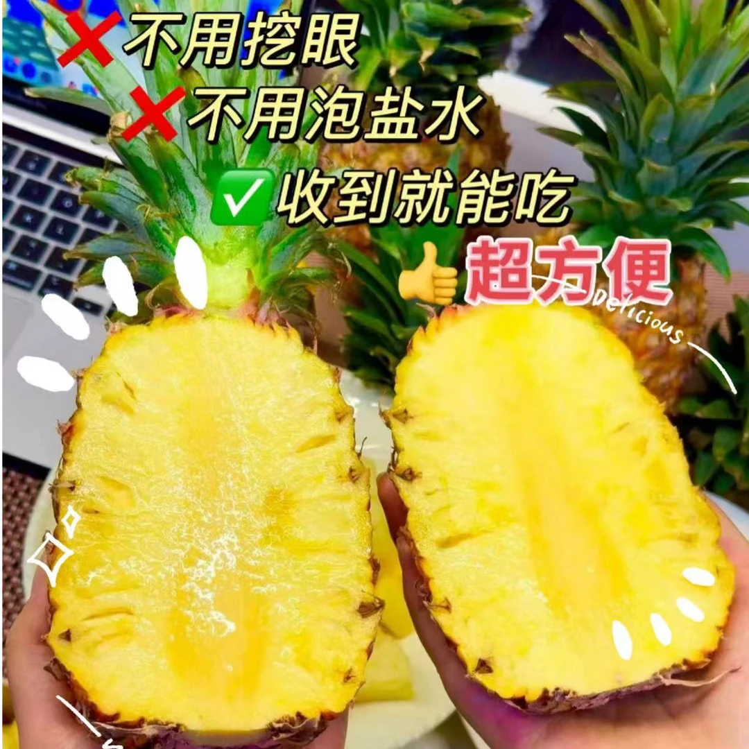 正宗徐闻金钻17号凤梨当季新鲜水果现摘现发爆甜不需挖眼整箱发货
