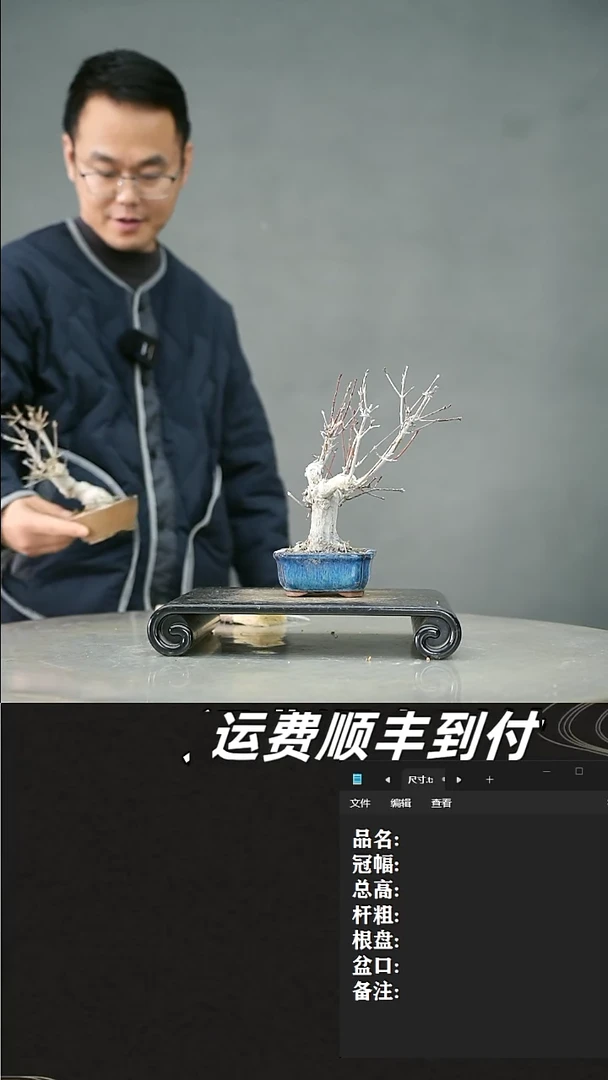 【闪购商品】70山红叶