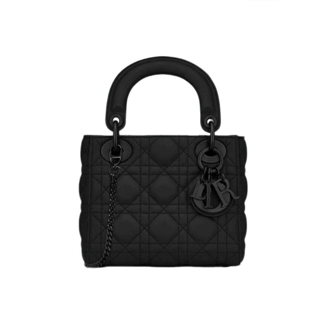 95新 DIOR/迪奥 安洁利严选戴妃包/M1211025