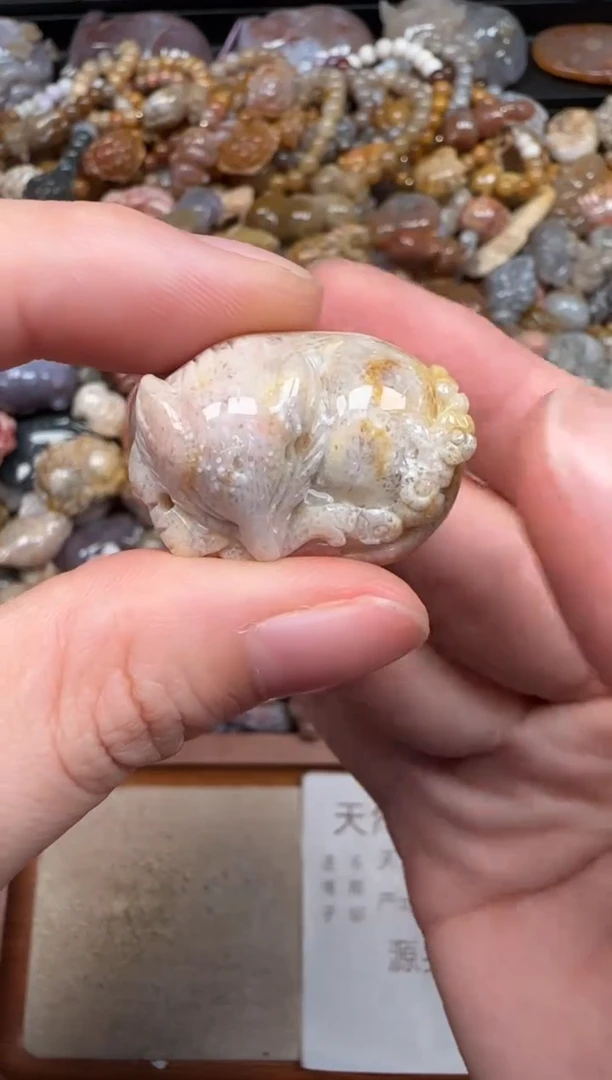 硅化珊瑚（珊瑚玉）未镶嵌颈饰398