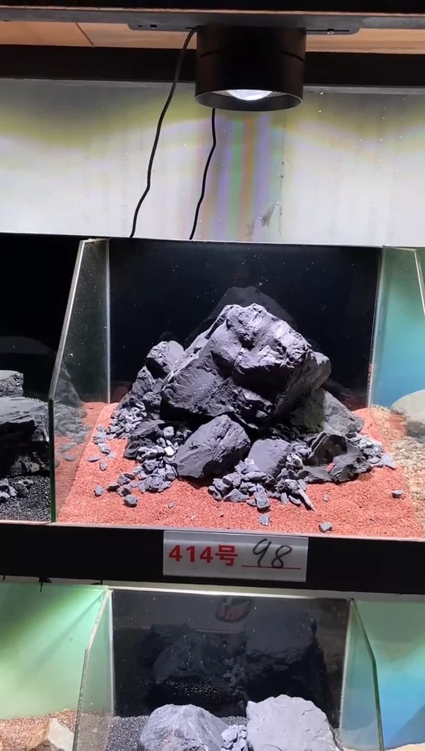 414号鱼缸造景（不含底砂）