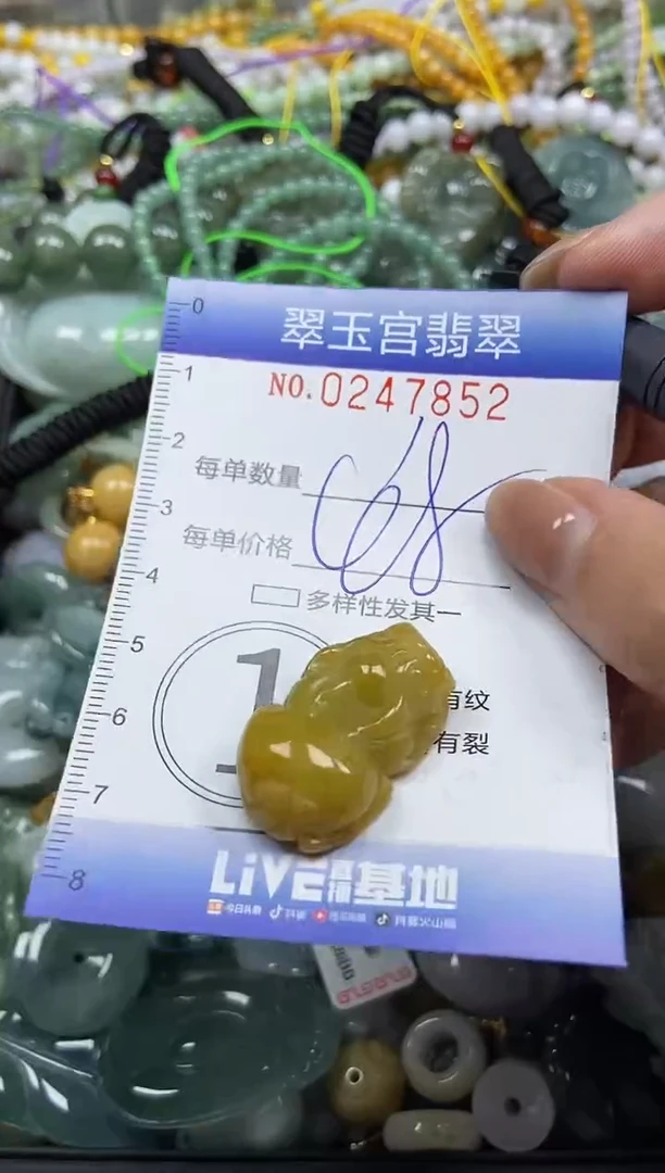 颈饰未镶嵌翡翠闪购C0247852