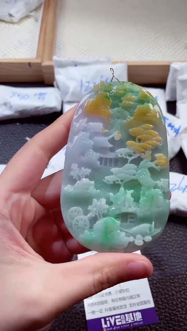 翡翠未镶嵌颈饰00004435