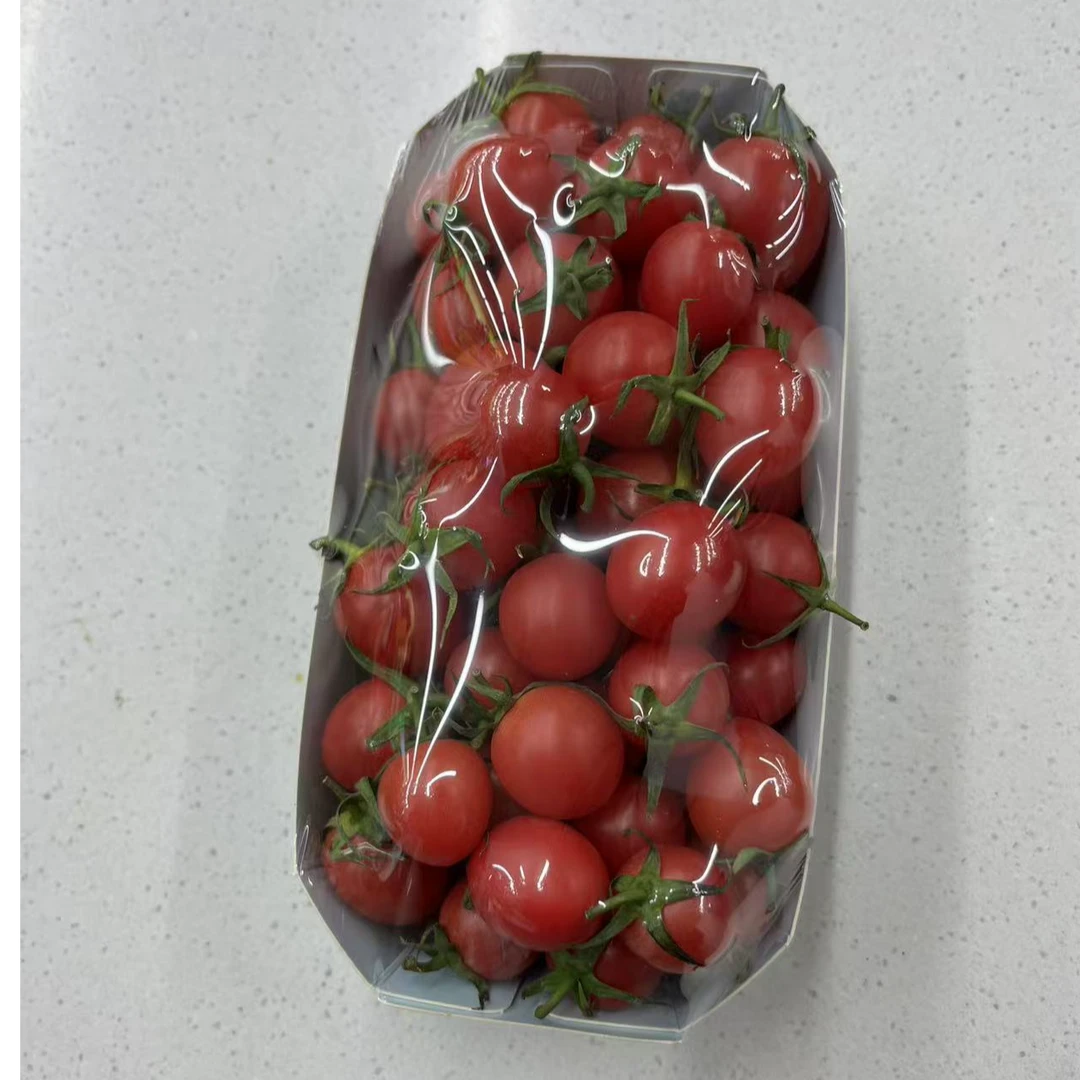 精品千禧一盒1斤多番茄同城送
