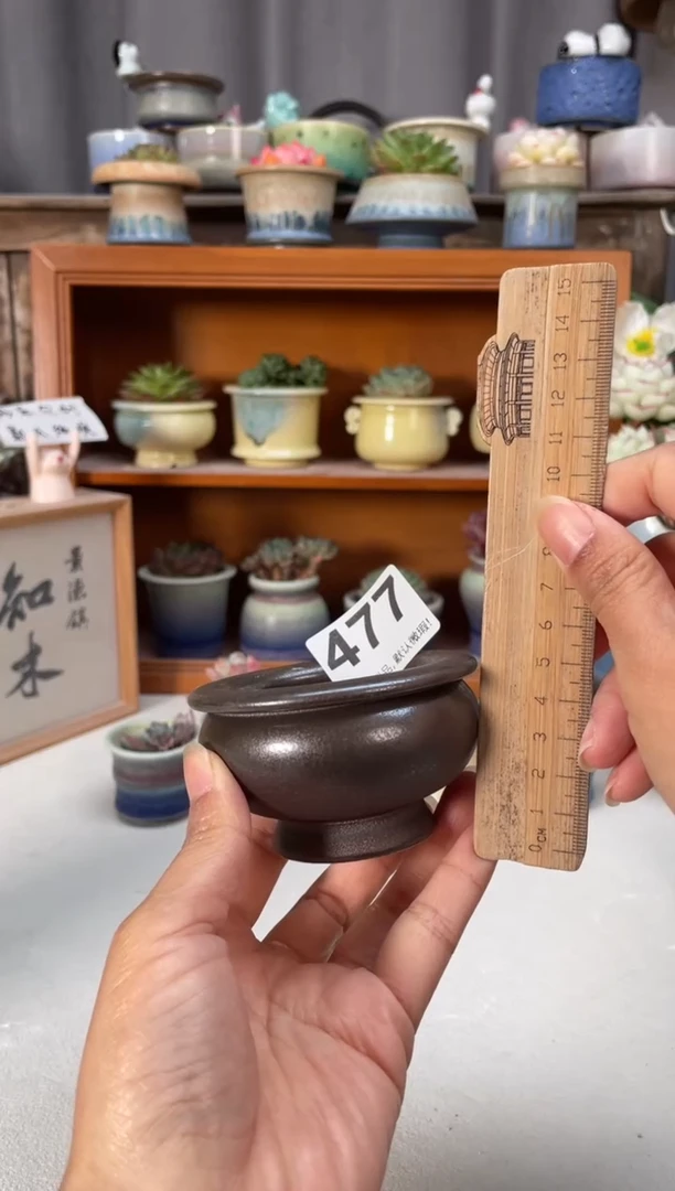 瓷片477小芳直播编号
