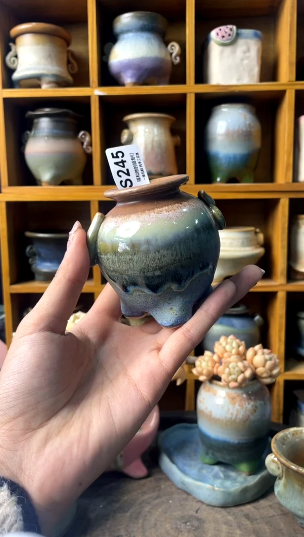 245内口3【多肉花盆多肉盆】