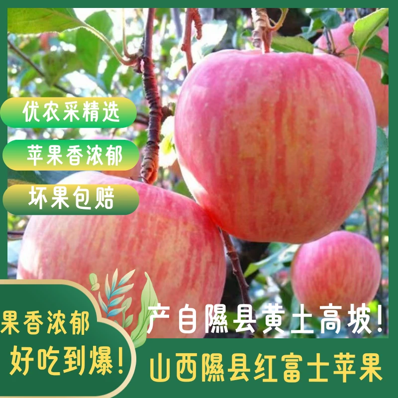 山西隰县精品红富士苹果礼盒装