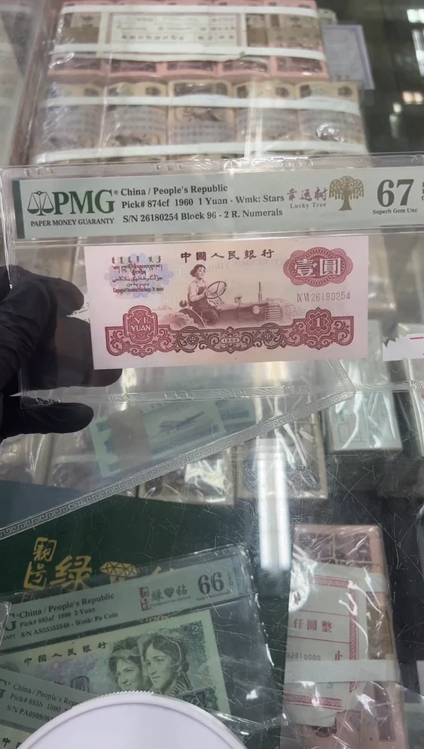 幸运树尾254。。。。