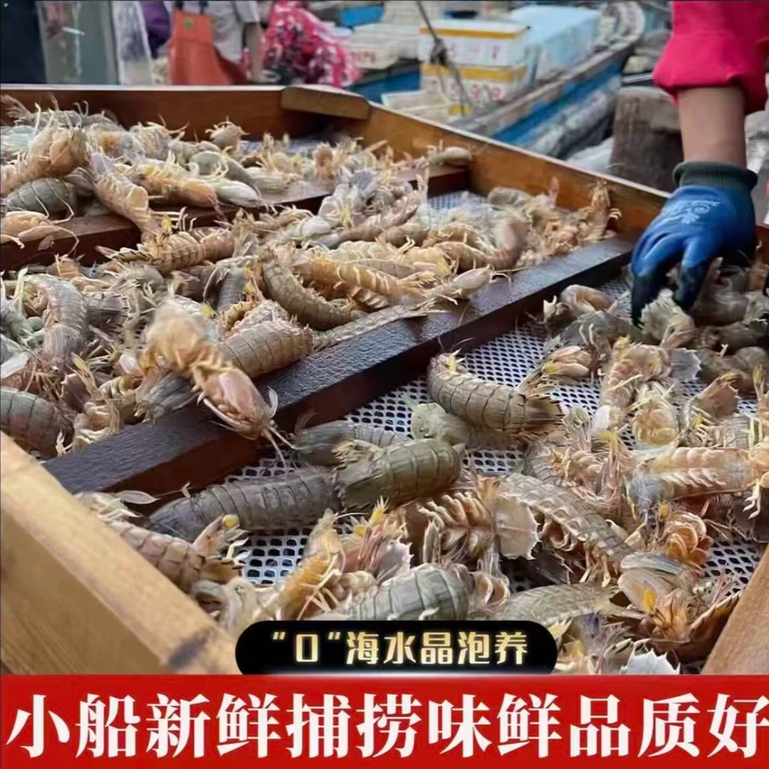 4斤海捕皮皮虾中号虾婆（虾爬子）新鲜熟冻发货 顺丰冷链包邮