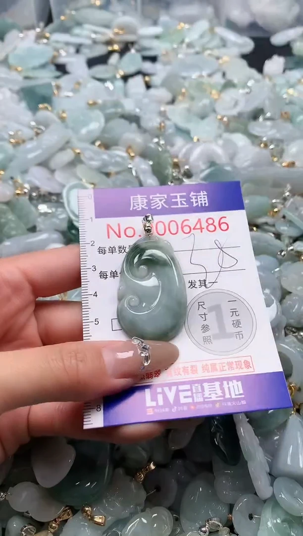 翡翠未镶嵌吊坠(不含链)6486