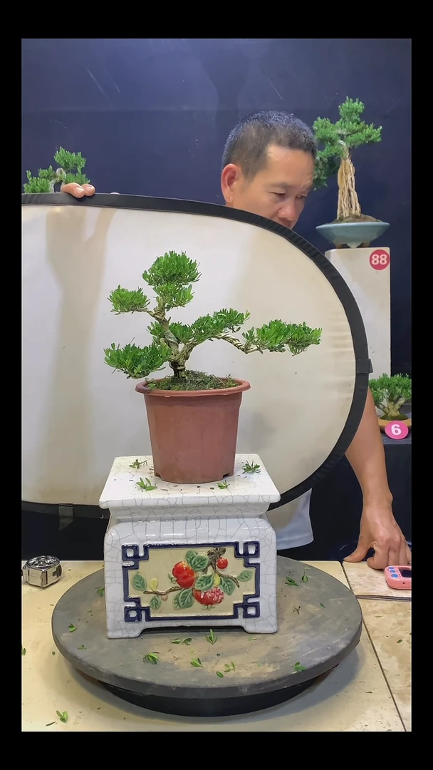 完全开放影*11111