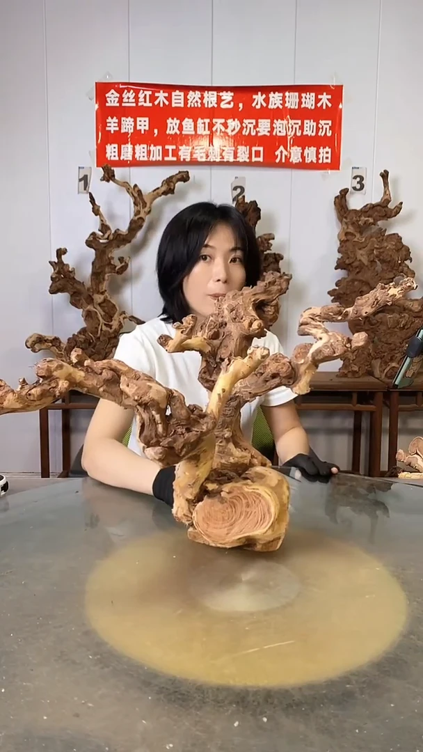 香榧木?****?金丝红木   羊蹄甲