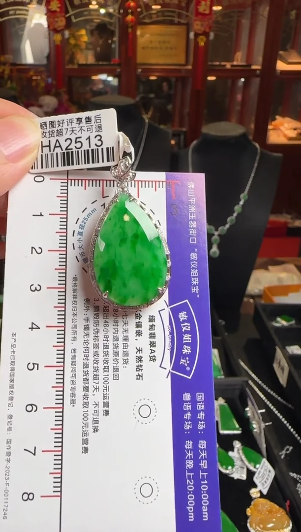 颈饰18K金镶嵌翡翠HA2513冰绿滴水