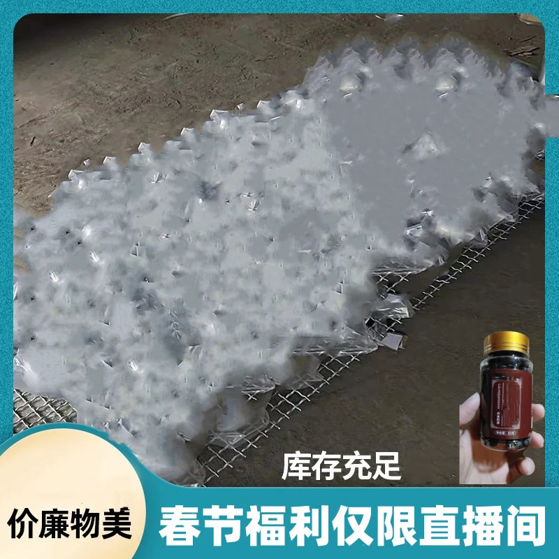 精品直播间下单春节福利多多铅球